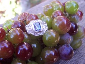 wine grapes.jpg