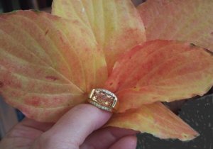 dogwood leaves.jpg