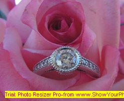 Resized_ring flower.jpg
