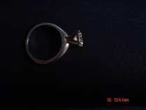 shank1234.JPG