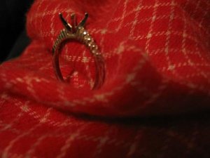 IMG_0721a.JPG