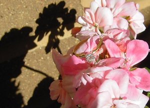 pinkblur76.JPG