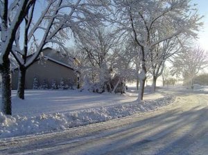 cmswinter1.jpg