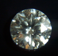 JellyKStone11Web.jpg