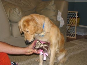 halo birthday 3.jpg