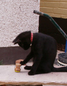 MRTsteal2010.jpg
