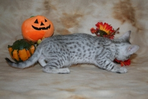 Girl1.8wk.jpg