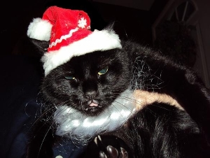 merryxmaskitty.jpg