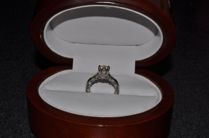 DSC_0058.jpg DSC_0058.jpg