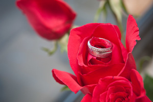 weddingrings.jpg