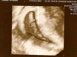 bebe1.jpg