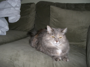 cleo%202.jpg