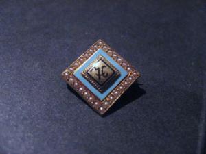 Pin%200081.jpg