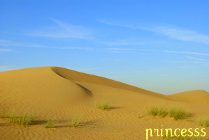 Sand%20Dunes.jpg Sand%20Dunes.jpg