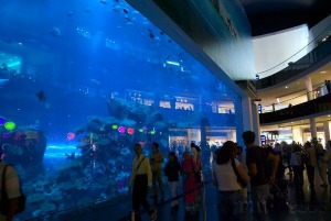Aquarium%20Dubai%20Mall.jpg