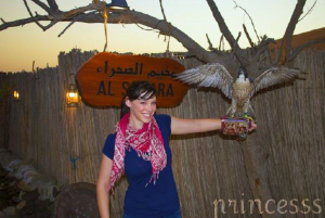 Falcon.jpg Falcon.jpg