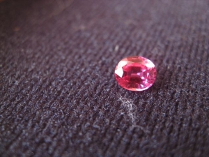 IMG_bspinel1233.jpg
