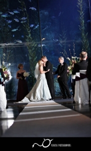 aquarium-of-the-pacific-long-beach-wedding-photography-13.jpg