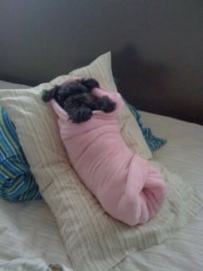 HavenSwaddled.jpg