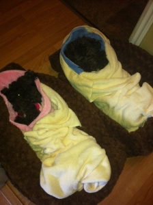 sleepybabies.jpg