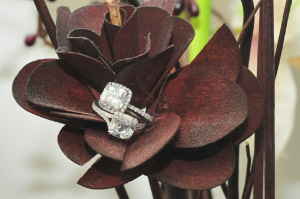 CharmyPoo-2rings-Rose7.jpg