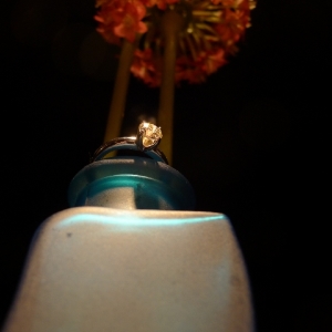 P1000459.jpg
