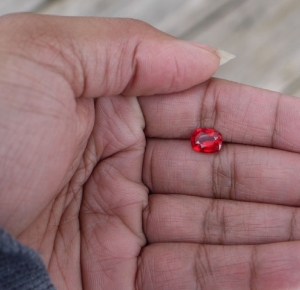 red10.jpg