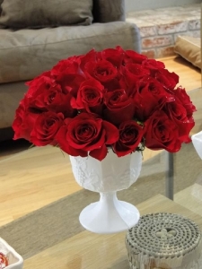 v-day%20roses.jpg