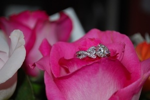 rose%20shank%20-%20resize.jpg