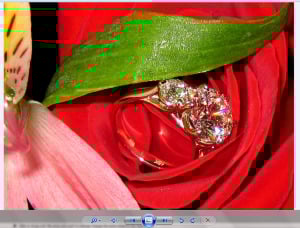 Original%20(.jpeg).png