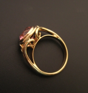 pcpinktourmringf8_500.jpg pcpinktourmringf8_500.jpg