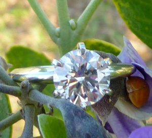 1.87flower2.jpg
