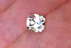 Ring_3-15-11%20020.jpg