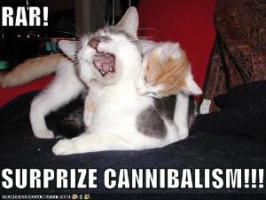 surprize.jpg