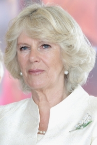 17187_m.jpg