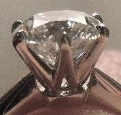 DSCF7681.jpg