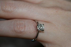 IMG_1005_cropped.jpg