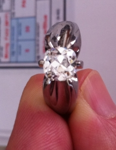AVC_Ring%20005.jpg
