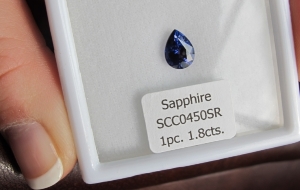 pear_color_change_sapphire_18_03.jpg