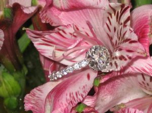 bama ring 1.JPG bama ring 1.JPG