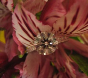 bama ring 11.JPG