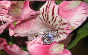 bama ring 3.JPG