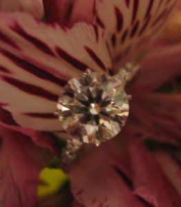 bama ring 14.JPG