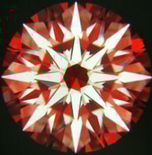 DSCN8489.jpg