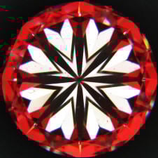 DSCN8490.jpg