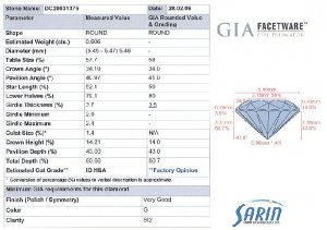 sarin280206.jpg