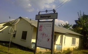Mahenge-entrance-Swala4.jpg