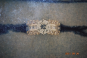 LZ%20ring.jpg LZ%20ring.jpg