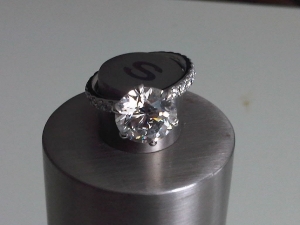 IMG01204-20110207-0749.jpg