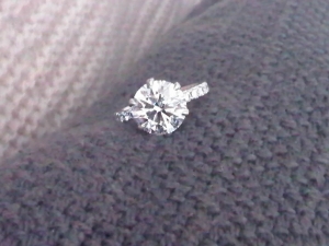 IMG01197-20110207-0747.jpg